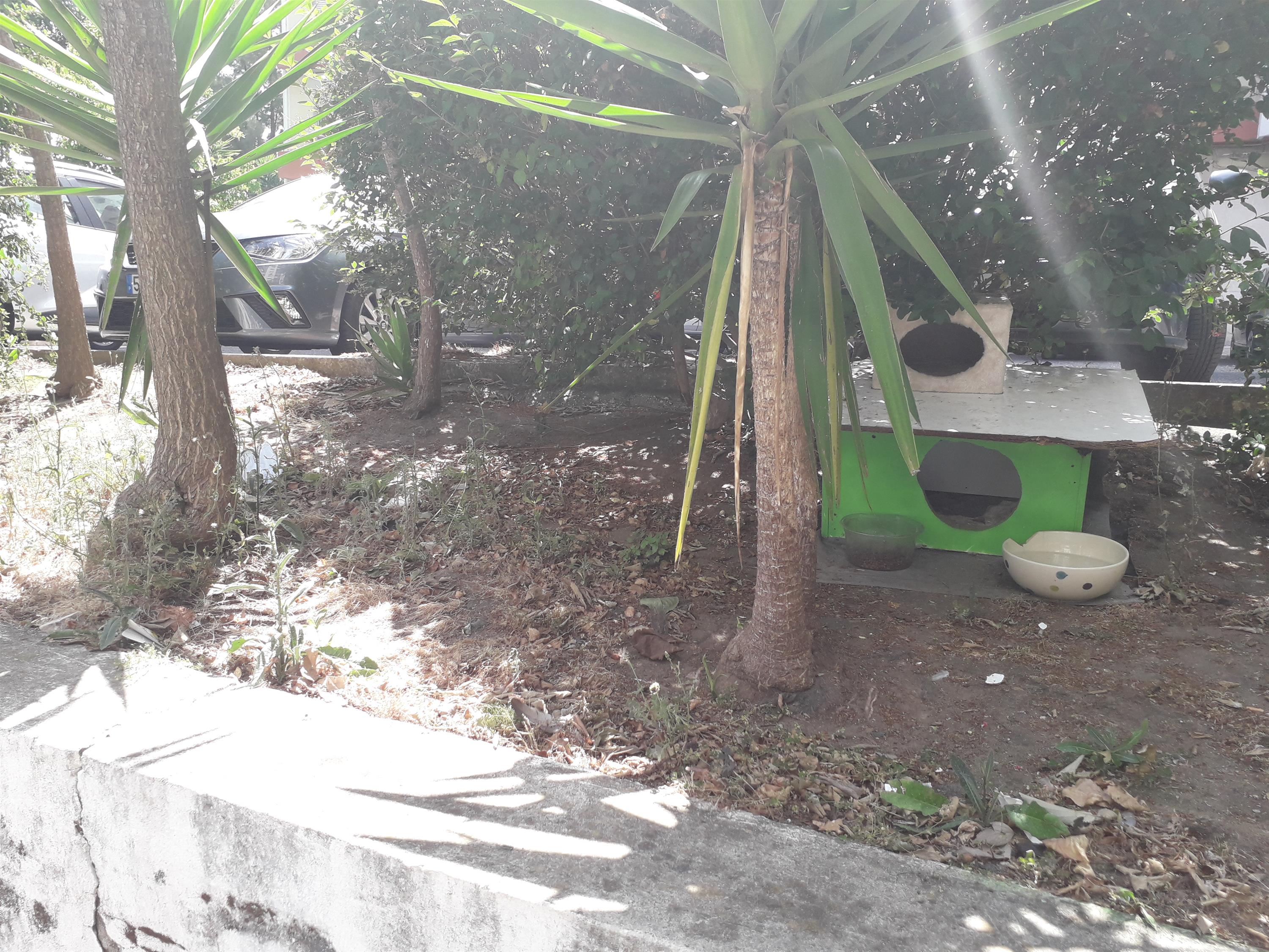 Praceta Simões Almeida