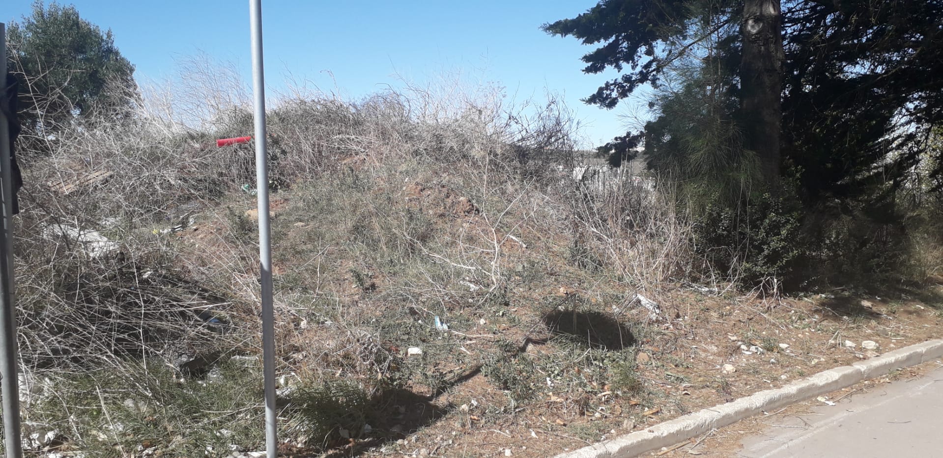 Local: baloiço panorâmico