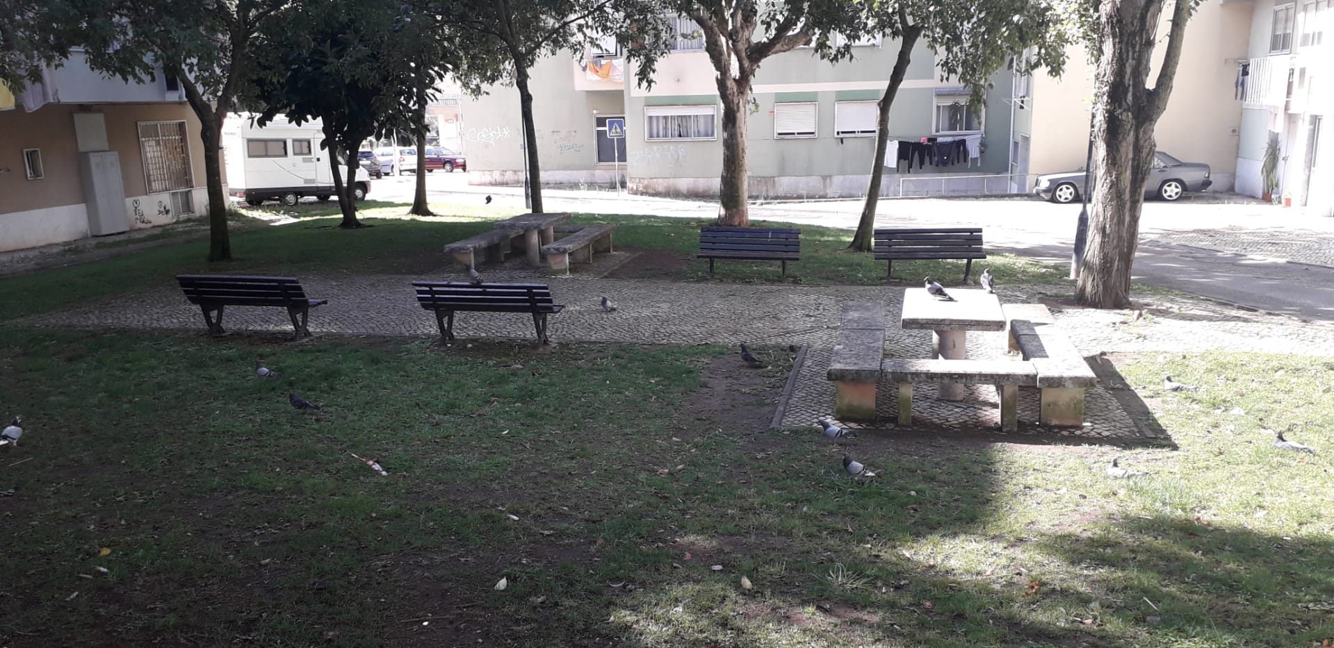 Uma praceta intergeracional