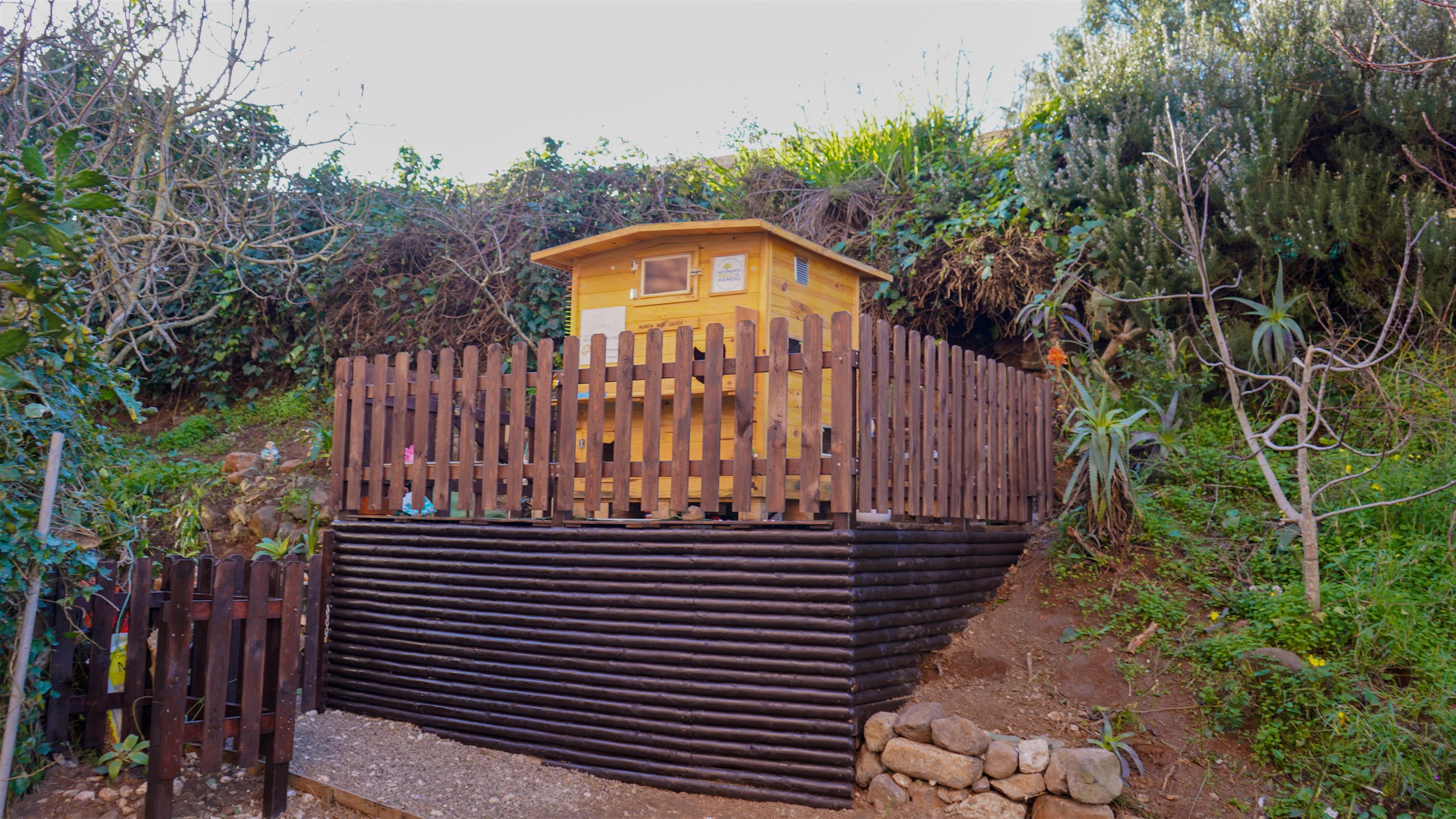 Traseiras Rua Rosa Mota- Cidade Desportiva